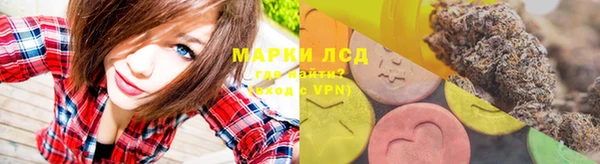 хмурый Алексин
