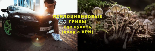 хмурый Алексин