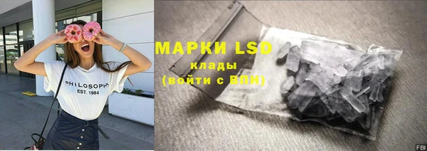 хмурый Алексин