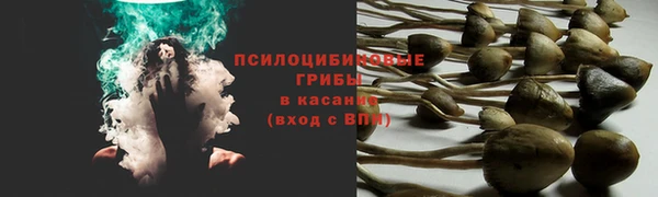 кокаин Алексеевка