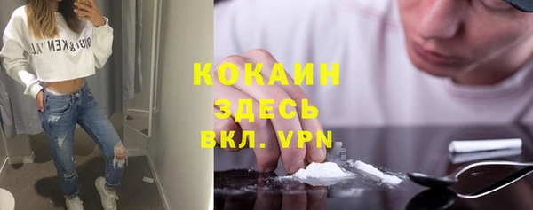хмурый Алексин