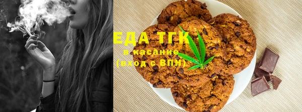 хмурый Алексин