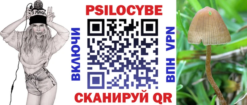hydra как войти Дзержинск Псилоцибиновые грибы Cubensis как найти